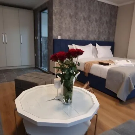 Otel Park Viasport Gorni Dŭbnik